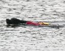 20140816-cwd-0654