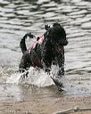 20140816-cwd-0663