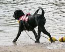 20140816-cwd-0669