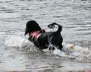 20140816-cwd-0674