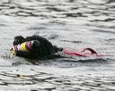 20140816-cwd-0688