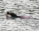 20140816-cwd-0695