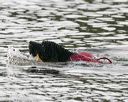 20140816-cwd-0704