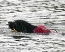 20140816-cwd-0706