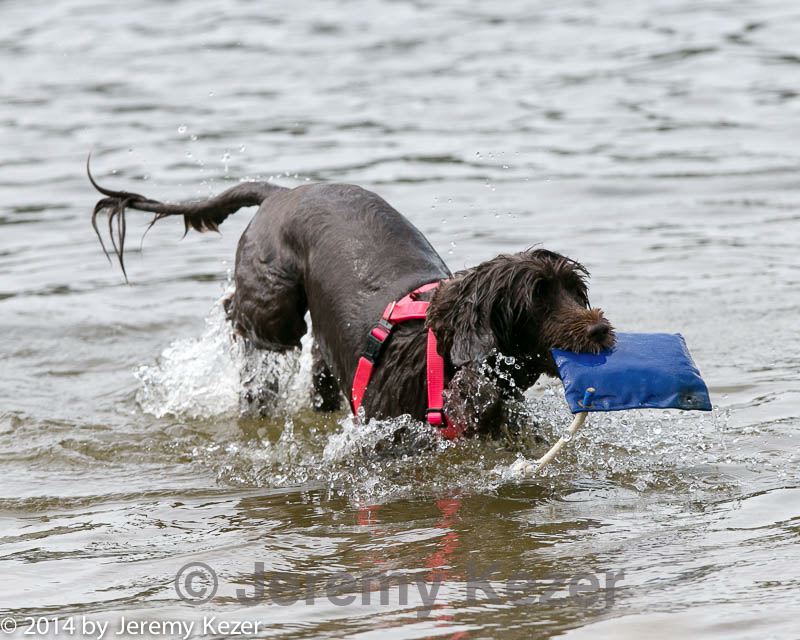 20140816-cwd-0007.jpg