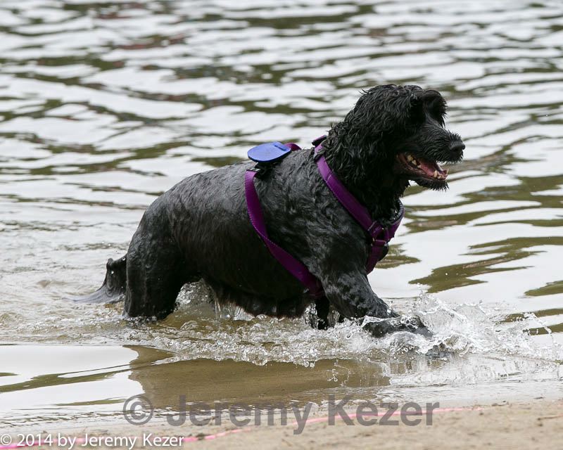 20140816-cwd-0136.jpg