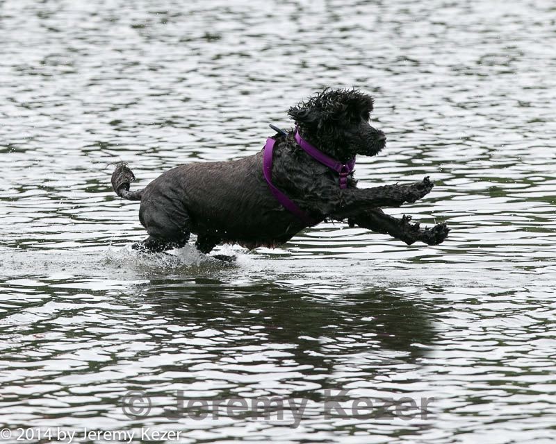 20140816-cwd-0153.jpg