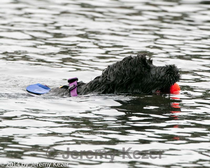 20140816-cwd-0154.jpg