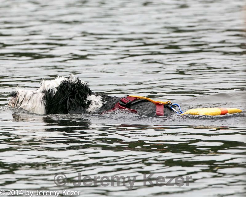 20140816-cwd-0284.jpg