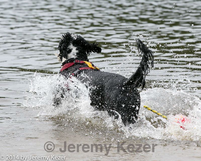20140816-cwd-0307.jpg