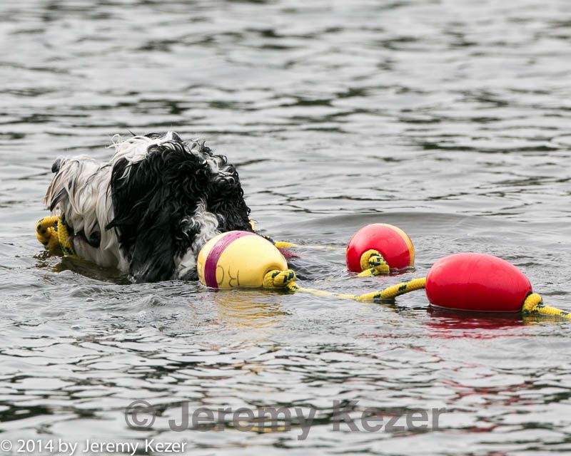 20140816-cwd-0316.jpg