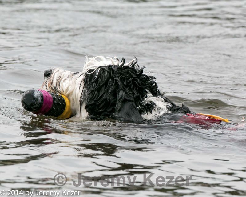 20140816-cwd-0322.jpg