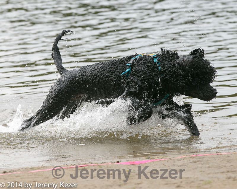 20140816-cwd-0362.jpg