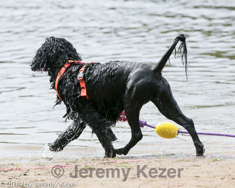 20140816-cwd-0451.jpg