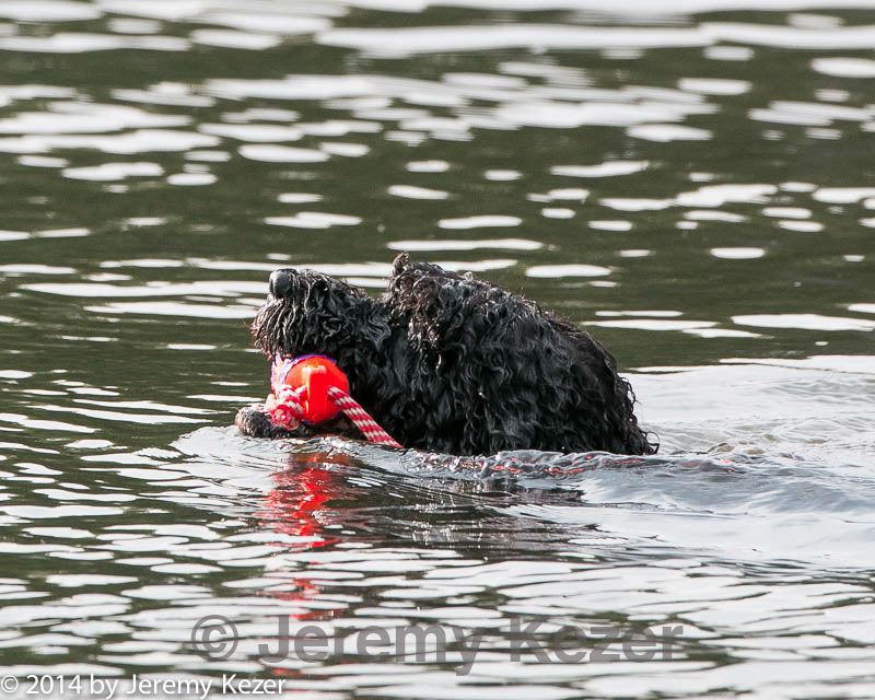 20140816-cwd-0625.jpg