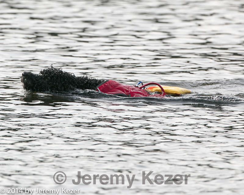 20140816-cwd-0654.jpg