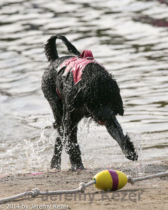 20140816-cwd-0667.jpg