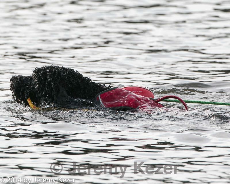 20140816-cwd-0707.jpg