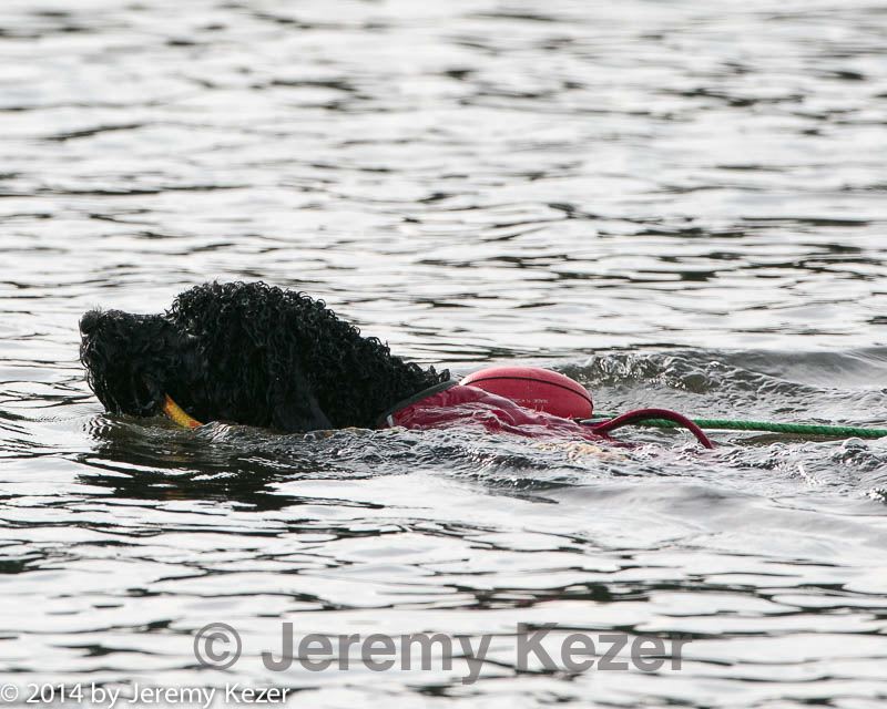 20140816-cwd-0709.jpg