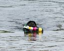20140816-jwd-0053