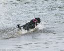 20140816-jwd-0072