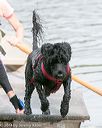 20140816-jwd-0083