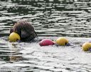 20140816-vers-0041