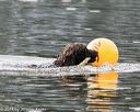 20140816-vers-0076