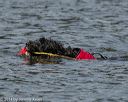 20140816-wwd-0025