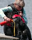 20140816-wwd-0030