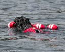 20140816-wwd-0033