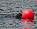20140816-wwd-0038