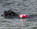20140816-wwd-0059