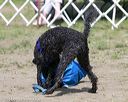 20140816-wwd-0064