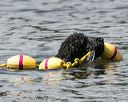 20140816-wwd-0104