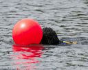 20140816-wwd-0112