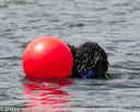 20140816-wwd-0114