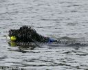 20140816-wwd-0159