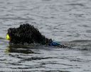 20140816-wwd-0179