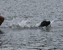 20140816-wwd-0194