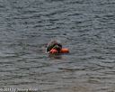 20140816-wwd-0202