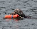 20140816-wwd-0231