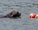 20140816-wwd-0241