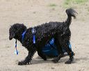 20140816-wwd-0302