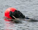 20140816-wwd-0330