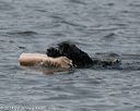 20140816-wwd-0351