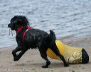 20140816-wwd-0376
