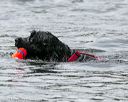 20140816-wwd-0399