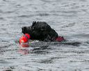 20140816-wwd-0401