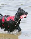 20140817-awd-0028